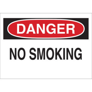 Brady "Danger No Smoking" Plastic Safety Sign, 1/Each
