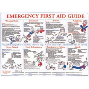 Brady First Aid Training Safety Poster, 1/Each