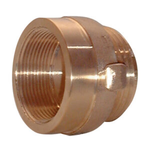 Female x Male Brass Hexagon Adapter, 2 1/2" NST x 2 1/2" NPT, 1/Each