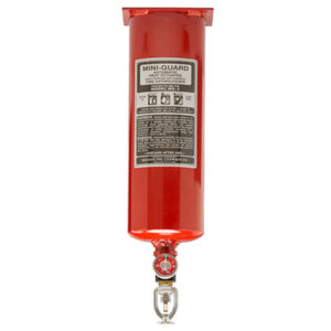 Buckeye Mini-Guard 5 lb ABC Fire Extinguisher, Vertical Mount, 17 1/4"L x 4 1/4"D, 1/Each