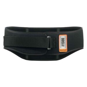 Ergodyne Large Black ProFlex 1500 Nylon Back Support