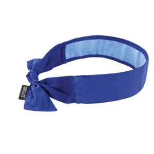Ergodyne Chill-Its 6700CT Bandana w/ Cooling Towel, Blue, 1/Each