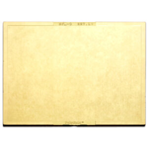 Radnor 4 12" X 5 14" Shade 9 Gold-Coated Polycarbonate Filter Plate