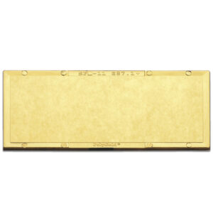 Radnor 2" X 4 14" Shade 11 Gold-Coated Polycarbonate Filter Plate