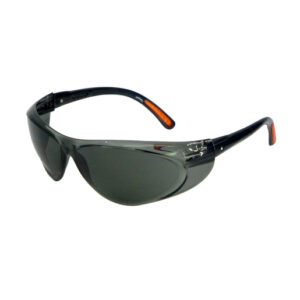 Radnor Action Series Safety Glasses With Clear Frame And Gray Lens